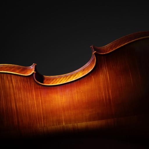 Cello back silhouette